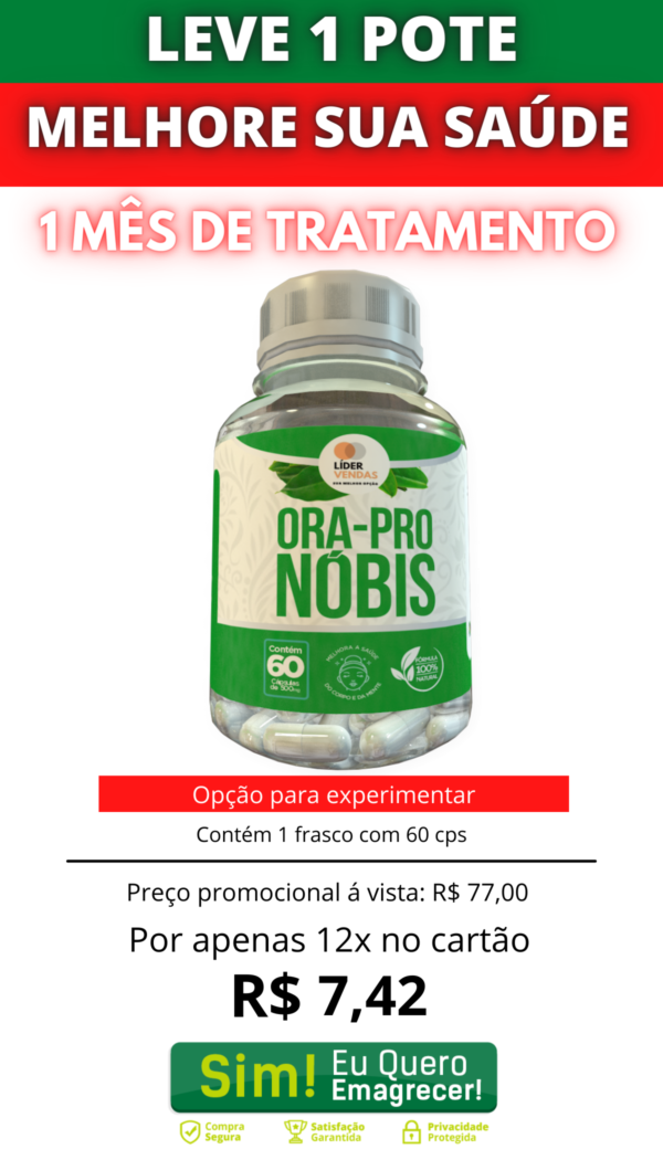 Ora Pro Nobis - Image 9