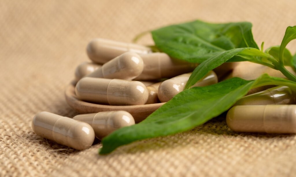 Ashwagandha: Guia de Suplementação Para Reduzir o Estresse e Aumentar Sua Energia Naturalmente