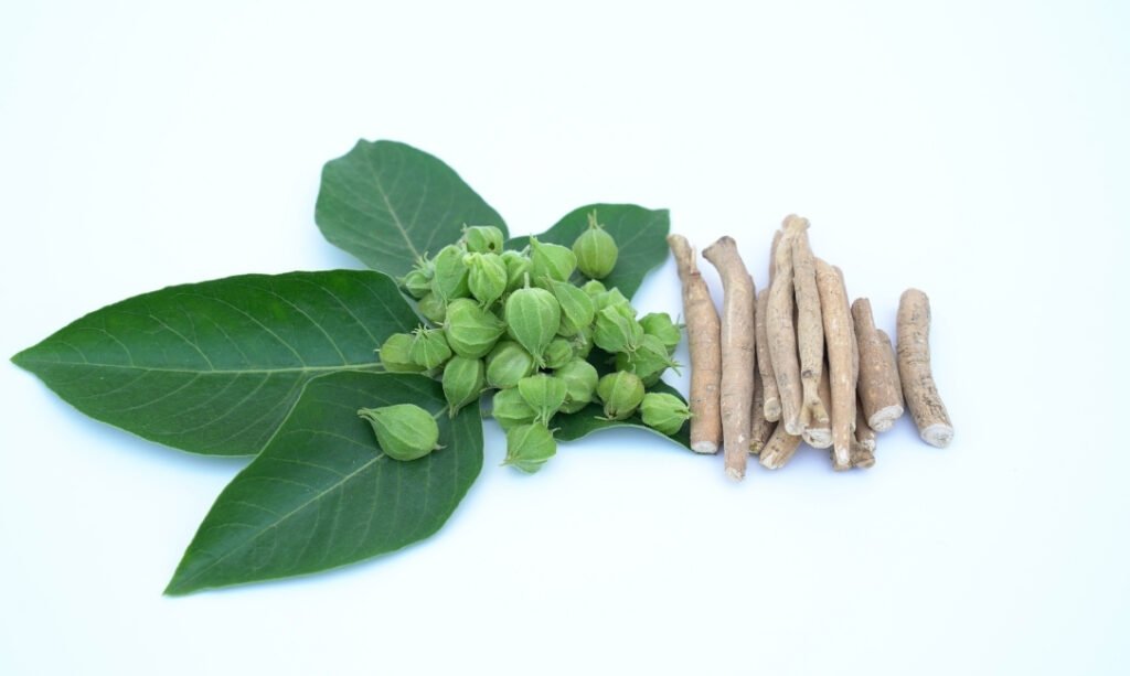 Ashwagandha: Benefícios Comprovados Além do Controle do Cortisol